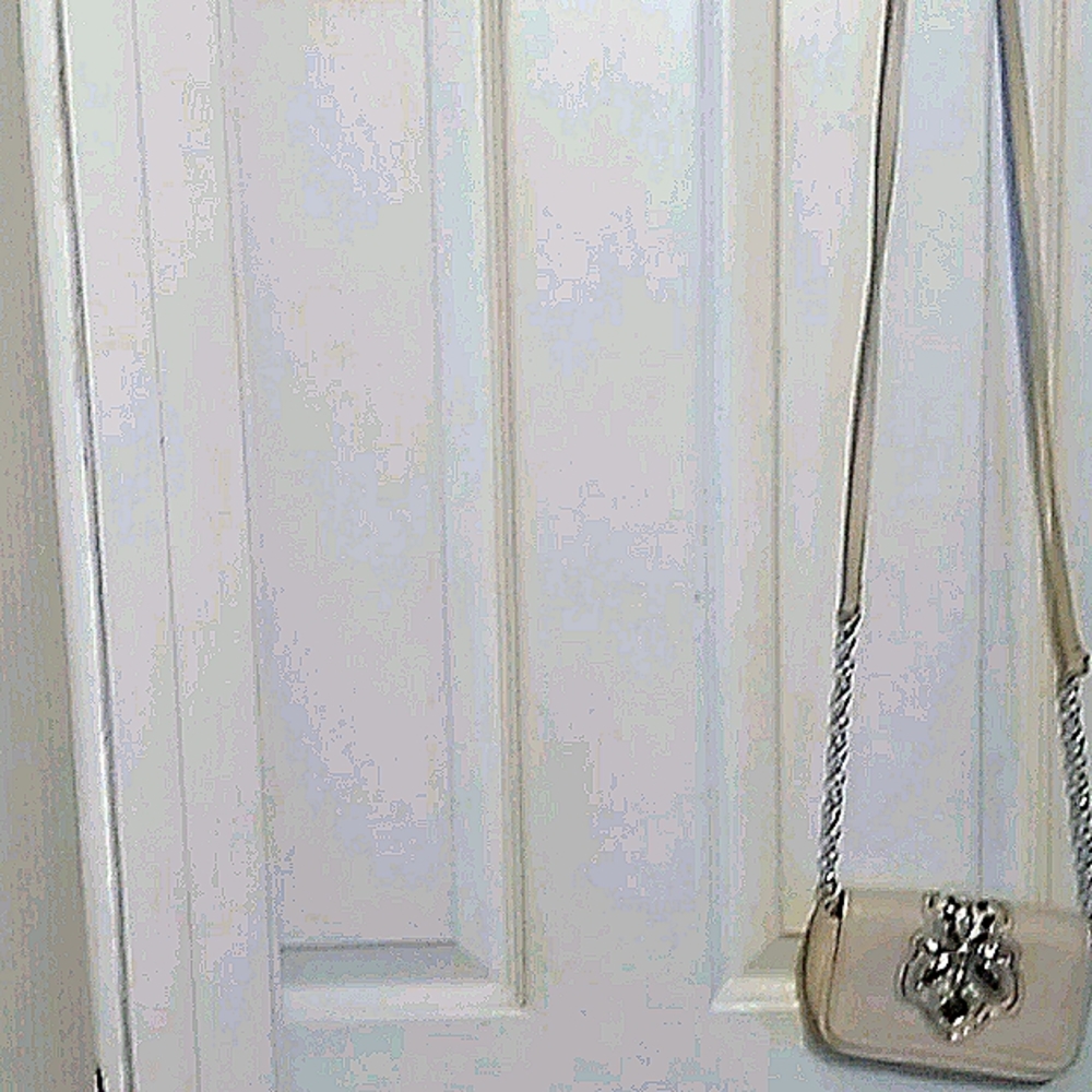 Adorable crossbody bag